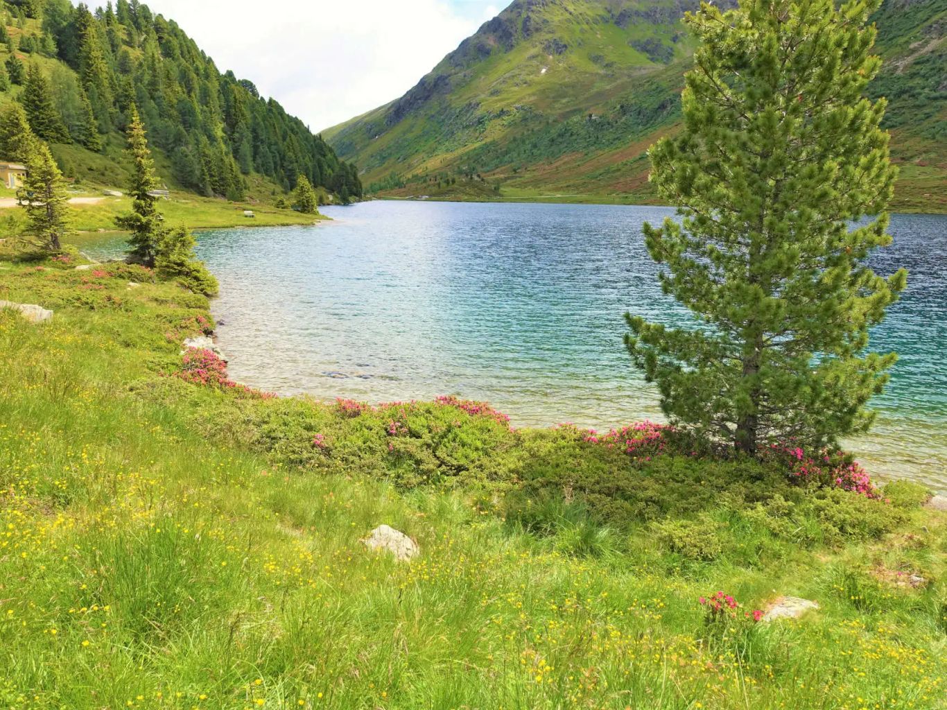 Obersee