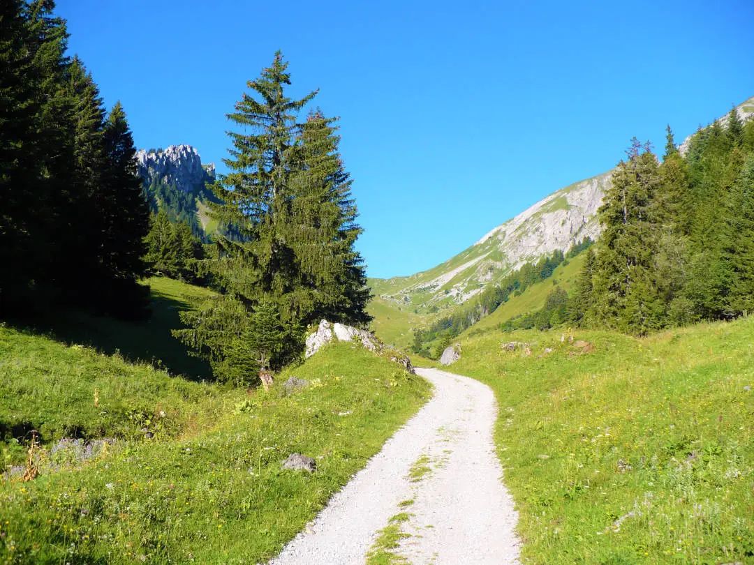 Wanderweg durch Berglandschaft