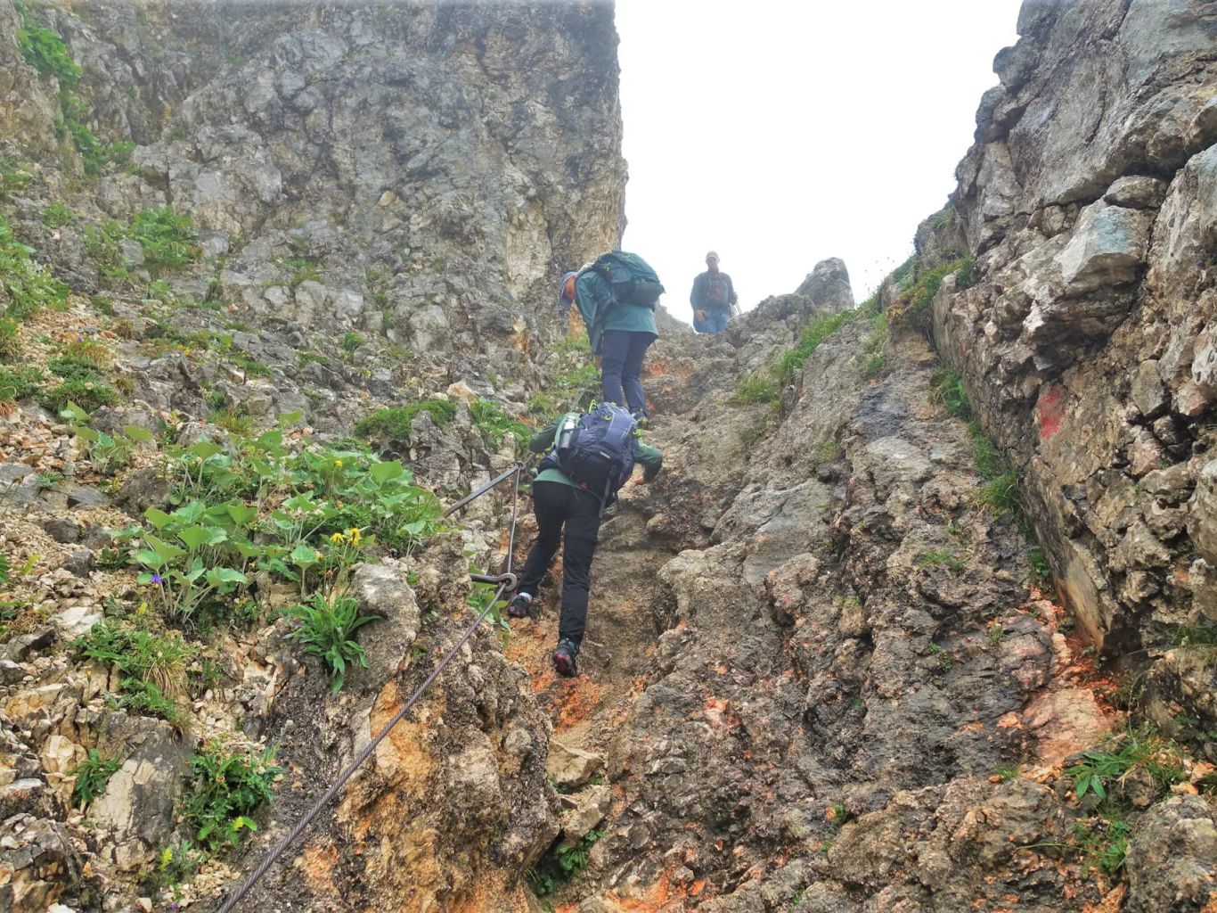 Wanderer in der seilgesicherten Felsstufe vor dem Gatterl.